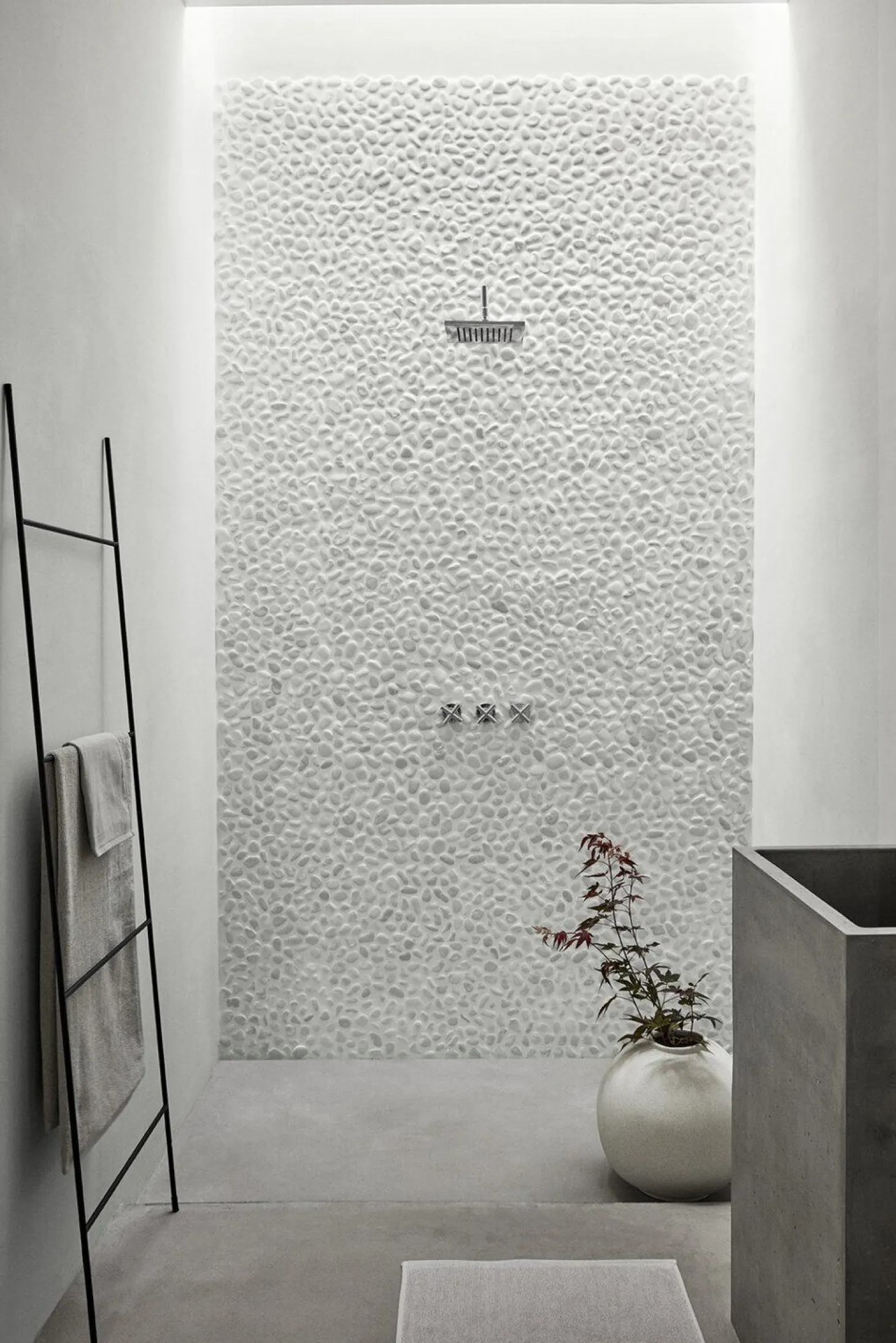 Blomus - Towel Ladder - H 165 cm, B 45 cm - FERA