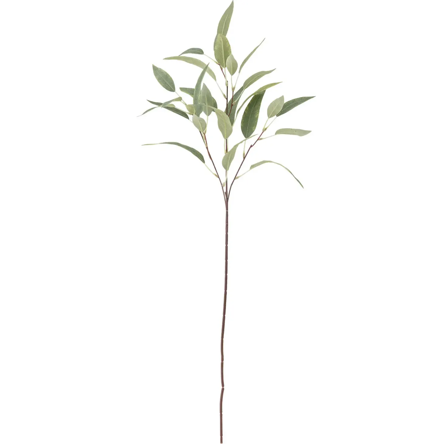 Bloomingville - Eucalyptus Kunstig stilk - Grøn