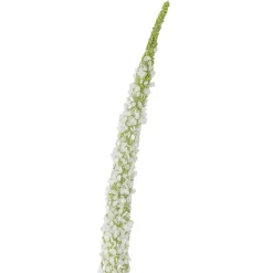 Bloomingville - Foxtail Kunstig stilk, Hvid, Plastik