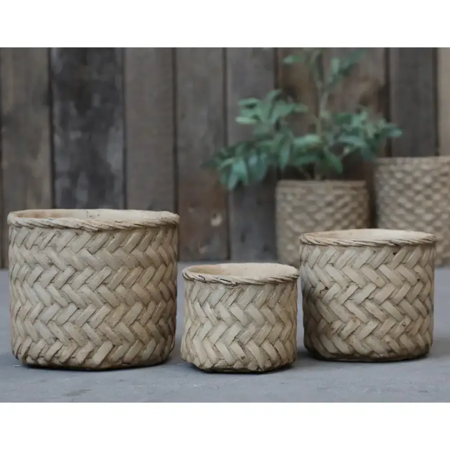 Chic Antique - Corte skjulere med flettede mønster lavet i cement (Ø13,5 cm)