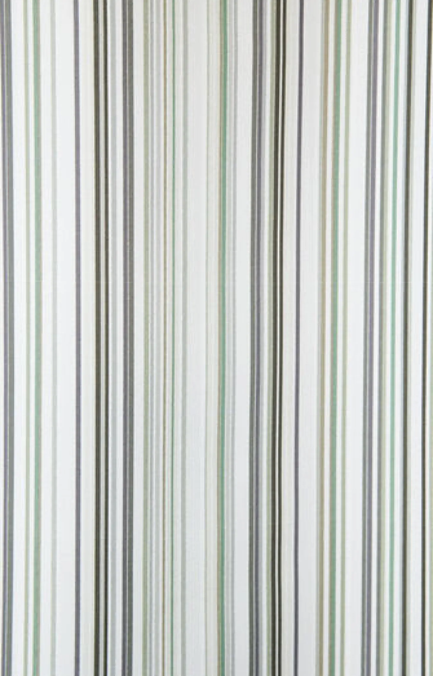 Compliments - Badeforhæng - Spectrum shower curtain w/tape 200 cm - Grøn
