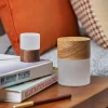 Gingko - Large Lemelia Light White Ash