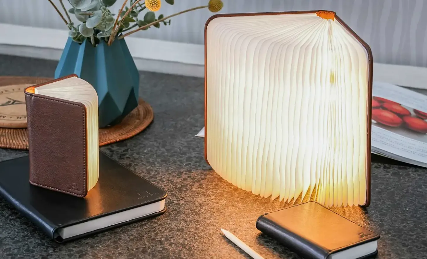 Gingko - LED Smart Booklight - Black Leather - Large