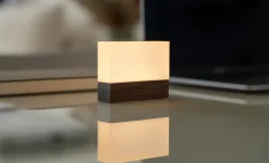 Gingko - Natlampe - CuraCheese - Valnød