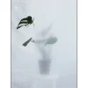 Kristina Dam - Split-leaf I - poster 50x70 cm