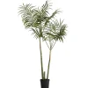 Lene Bjerre - Flora kentia palme H185 cm. grøn