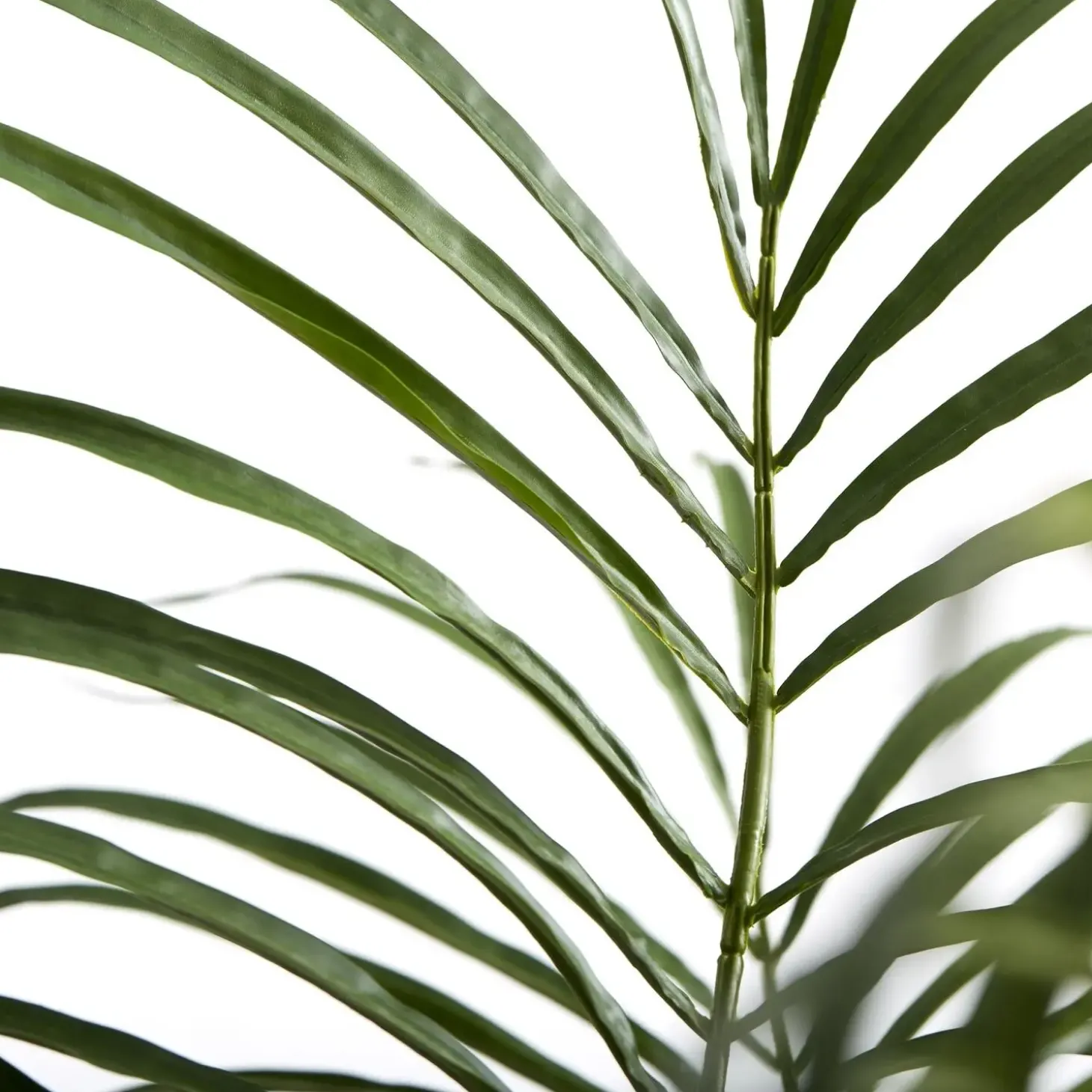 Lene Bjerre - Flora kentia palme H185 cm. grøn