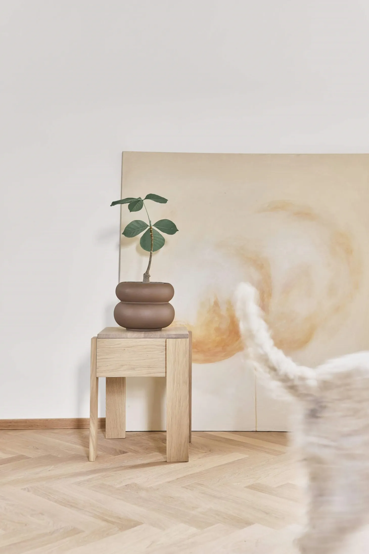 Oyoy - Plantekrukke - Kupla - Small - Brun