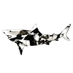 Paradisco Productions illustration - Shark Superior plakat (A3)