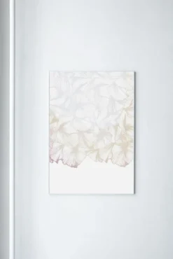 Paradisco Productions illustration - Soft Transparency plakat (70 x 100)
