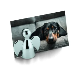 Philippi - Angelo picture holder