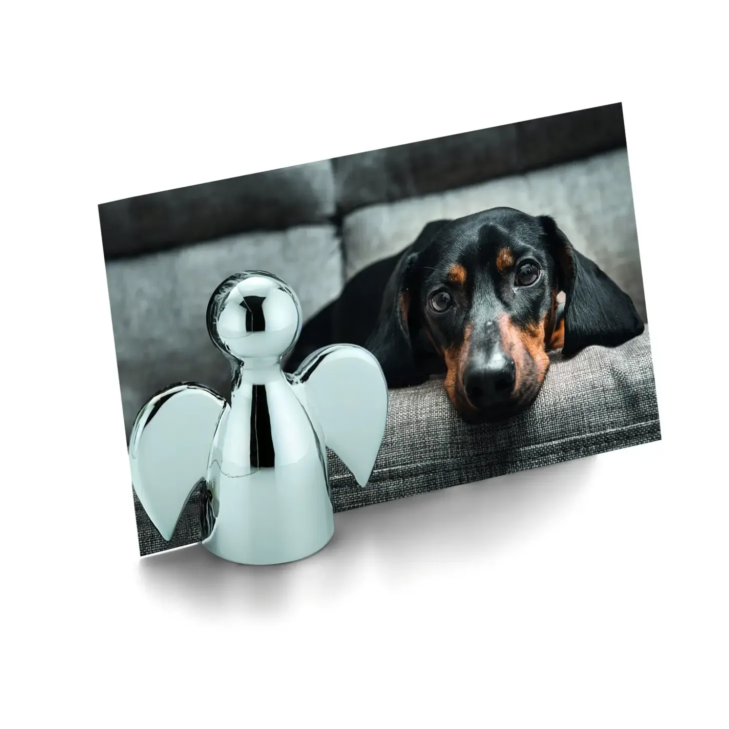 Philippi - Angelo picture holder