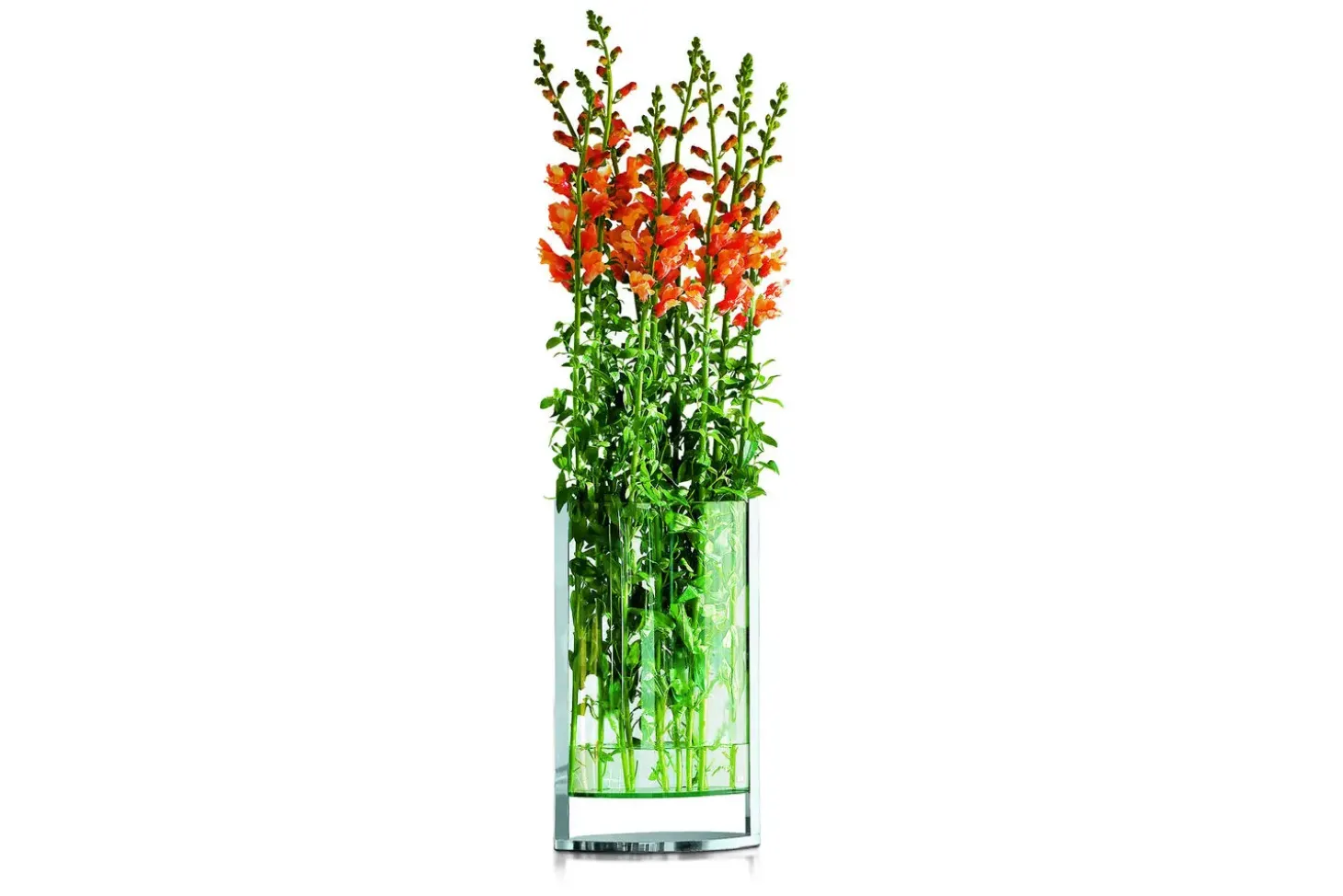 Philippi - Decade vase L