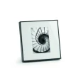 Philippi - Infinity frame 13 x 18 cm