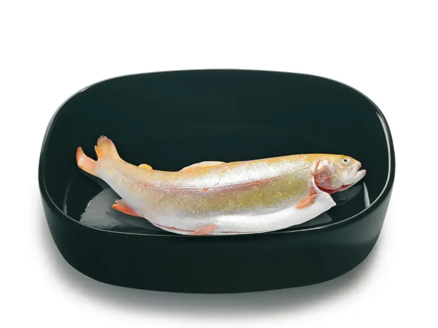 Piet Hein - Superellipsefad porcelain 23*30*7 cm HØJ/Sort
