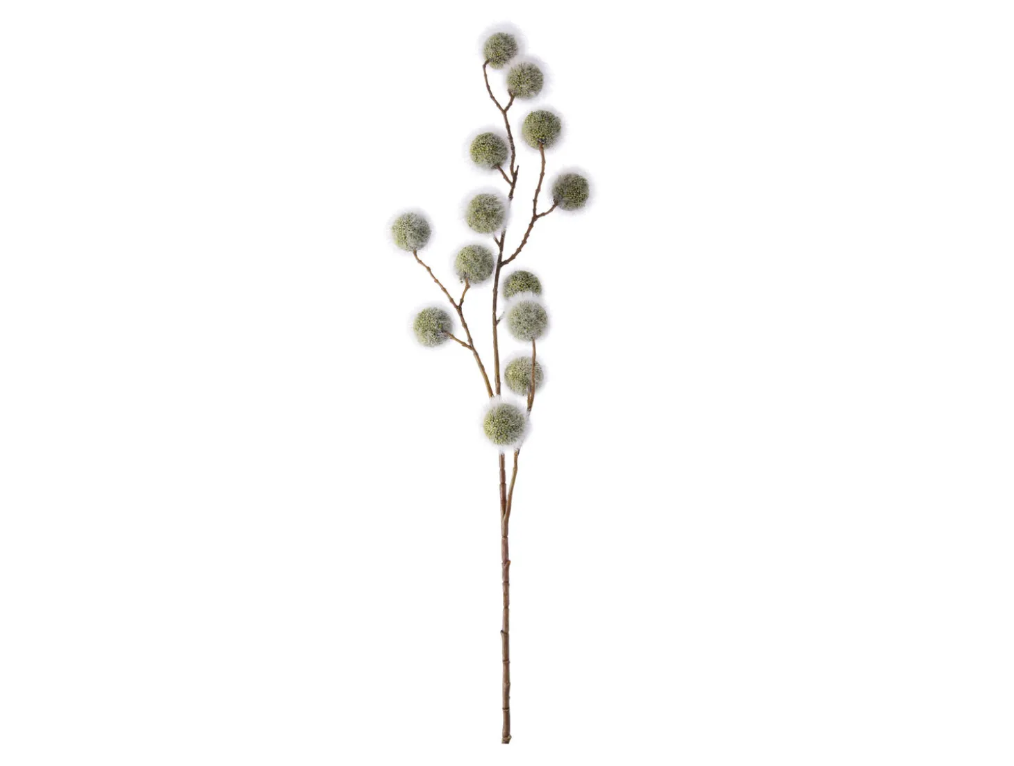 Present time - Artificial flower Poppy Berry soft green