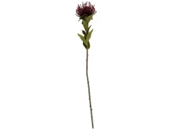 Present time - Artificial plant Protea Flower small burgundy red