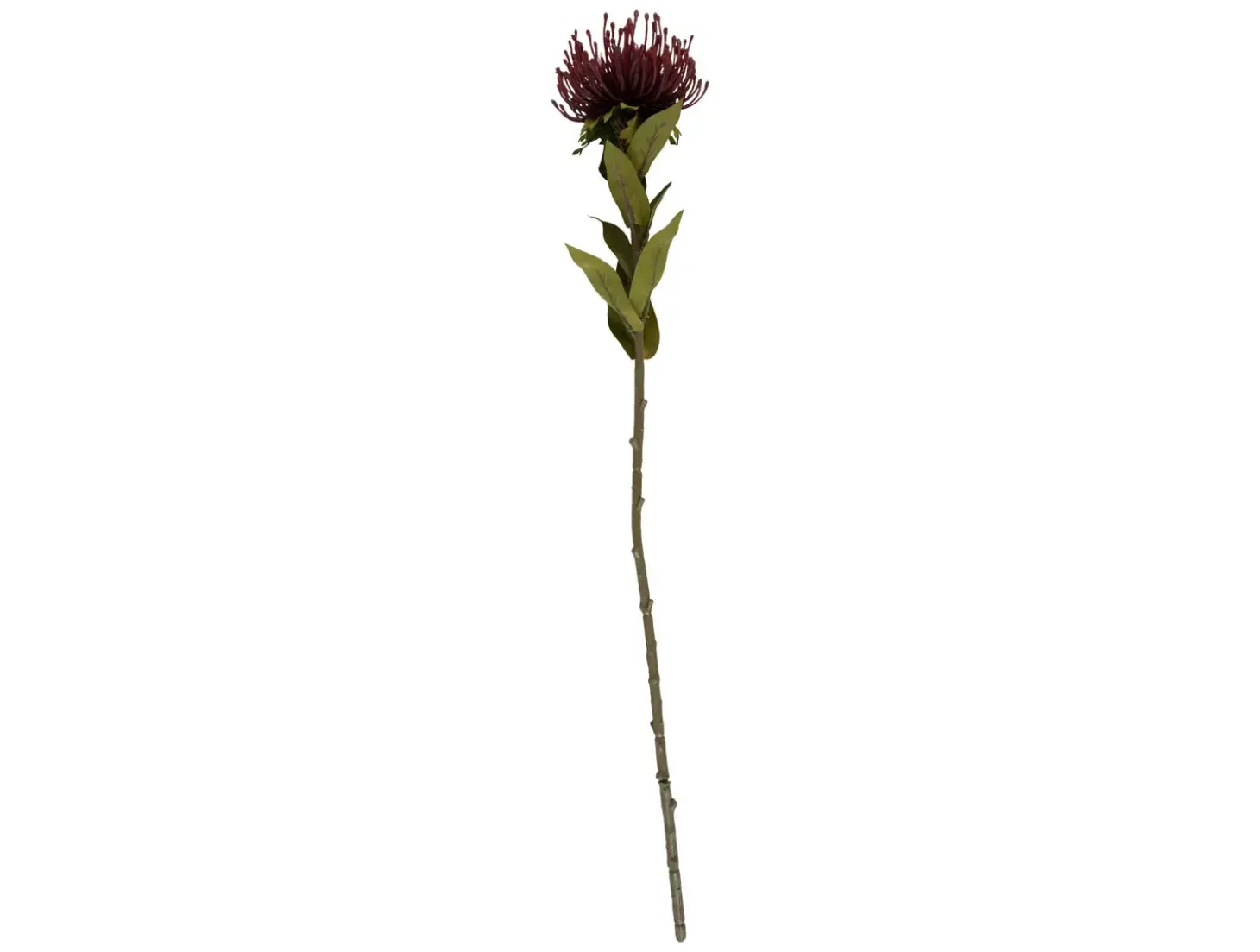Present time - Artificial plant Protea Flower small burgundy red