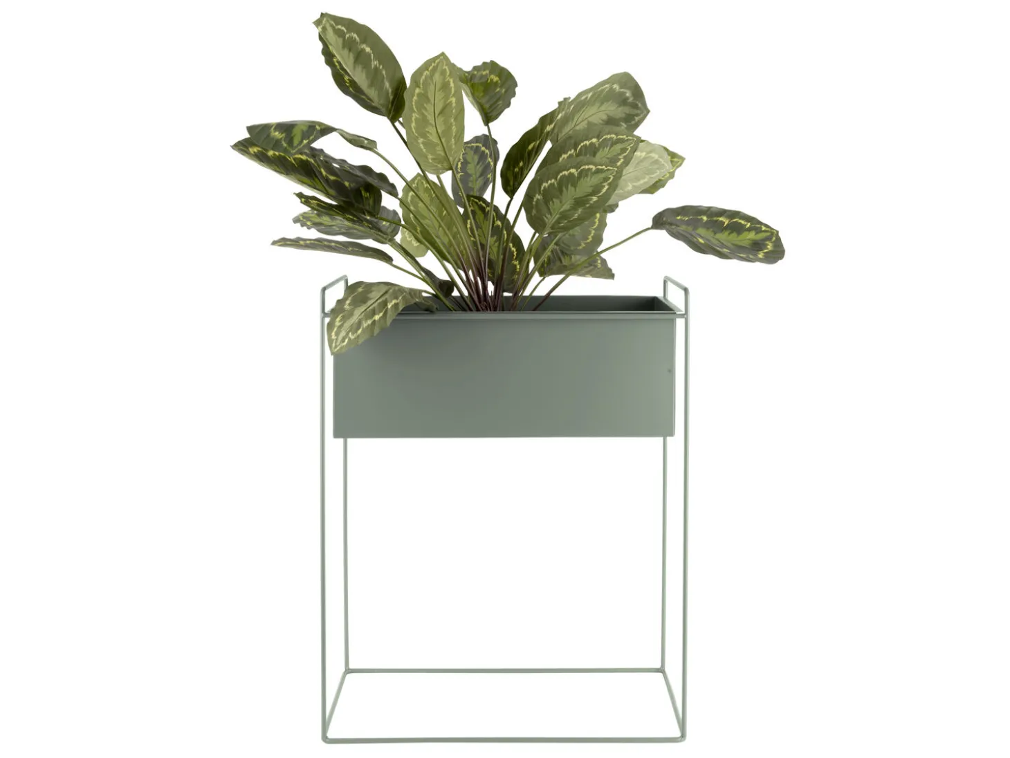 Present time - Plant pot set Essence straight iron jungle green