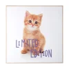 Present time - Wall art kitten Limited Edition purple
