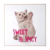 Present time - Wall art kitten Sweet & Spicy bright pink