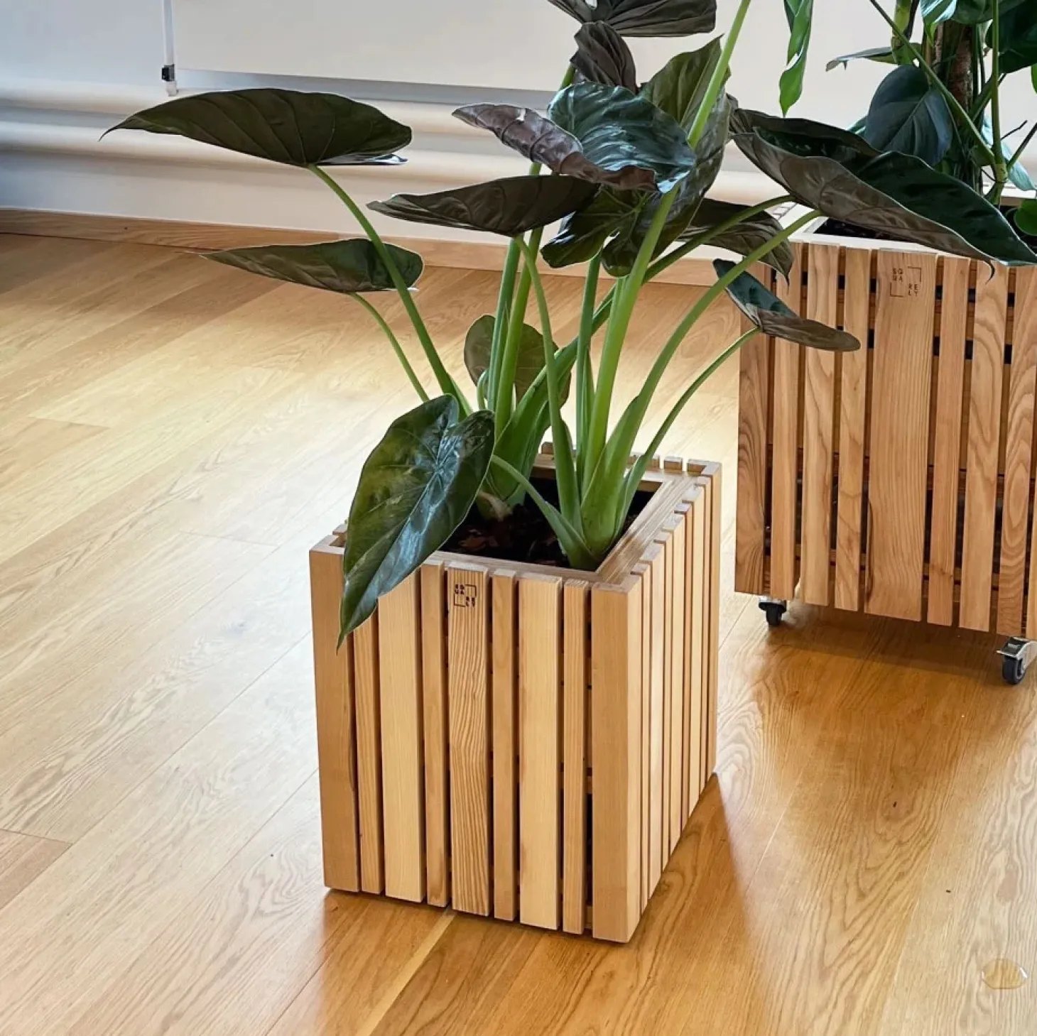 SQUARELY COPENHAGEN - Plantekasse - GrowMORE - Ask Natur