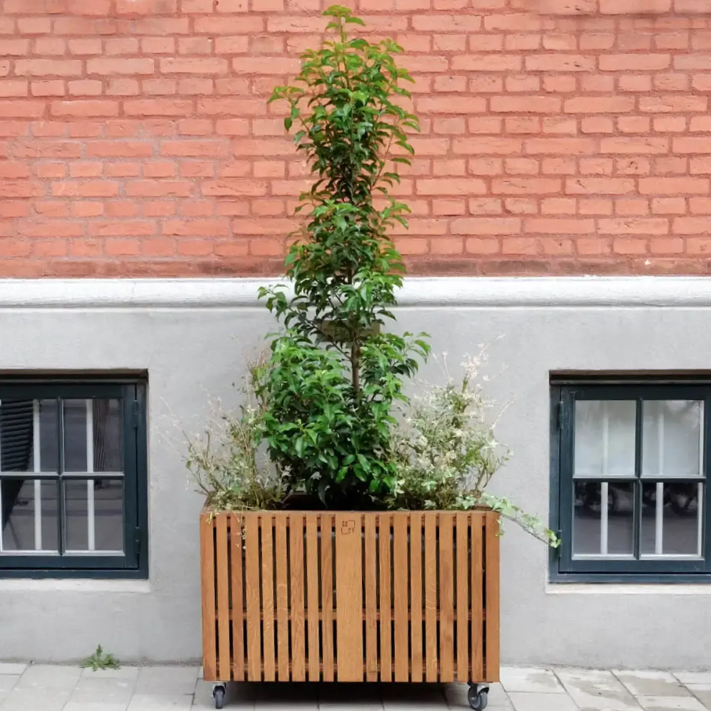 SQUARELY COPENHAGEN - Plantekasse - GrowLARGE - Mørk Eg - 90x45x52cm