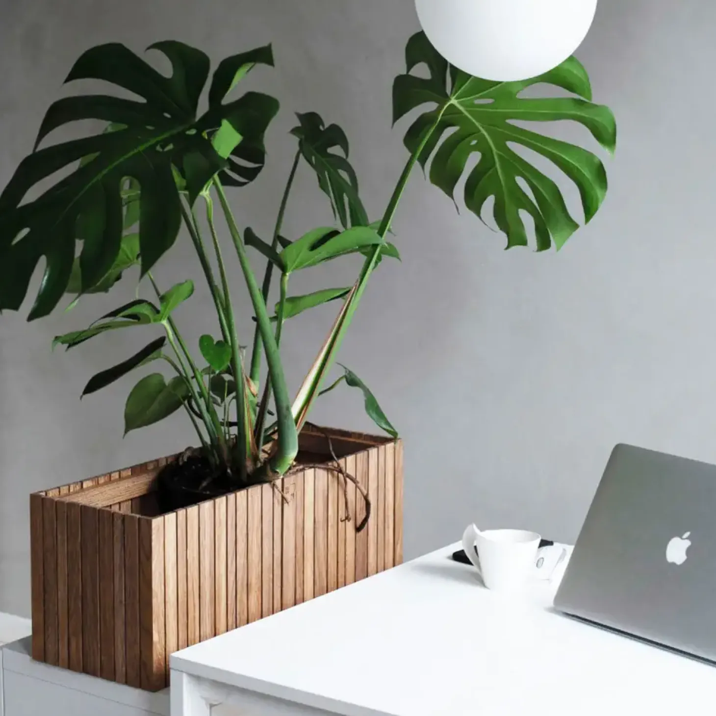 SQUARELY COPENHAGEN - Plantekasse - GrowWIDE - Mørk Eg - 60 x 22 x 24