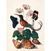 The Dybdahl - Plakat 50x70 cm - Hummingbird, Butterflies & Flowers - Papir