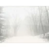 VISSEVASSE - Peregrination plakat 50 x 70 cm